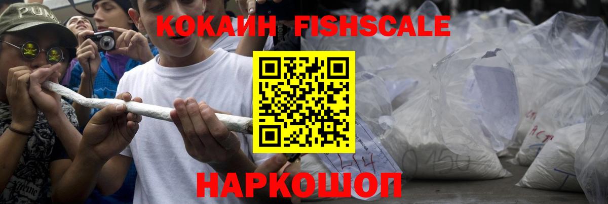 COCAIN Эквадор  Кокаин VHQ  Петропавловск-Камчатский  где купить наркотик  Вход с VPN 