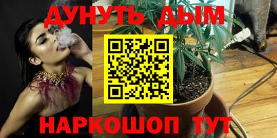 индика Бузулук
