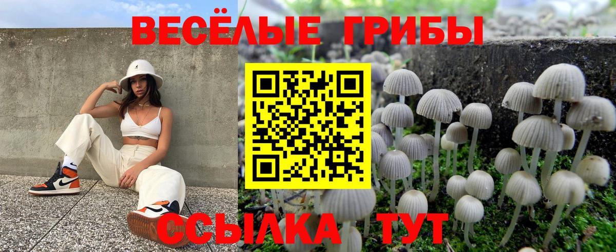 Галлюциногенные грибы мухоморы Петропавловск-Камчатский