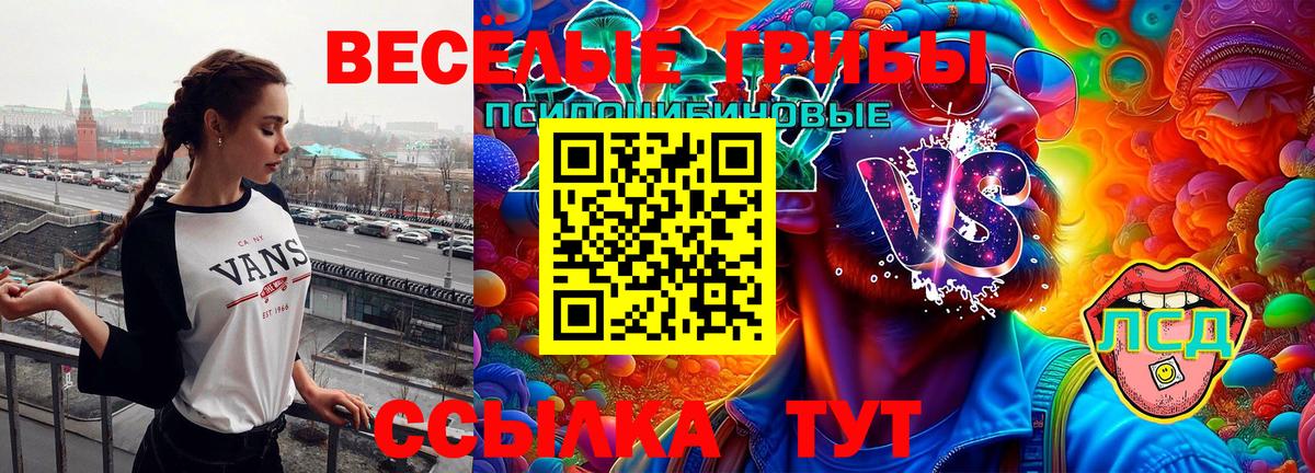 Галлюциногенные грибы мухоморы  Вход с VPN  Петропавловск-Камчатский 